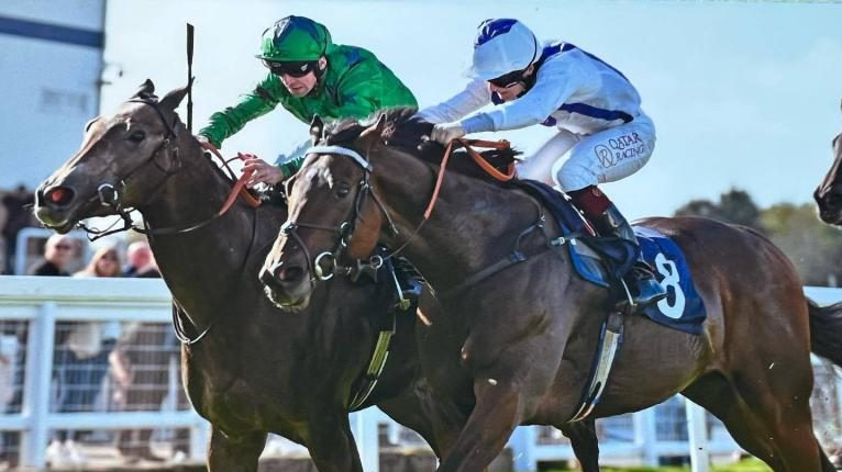 Final 2 Furlongs Racing Club Membership and 1% member share in Twilight Heir