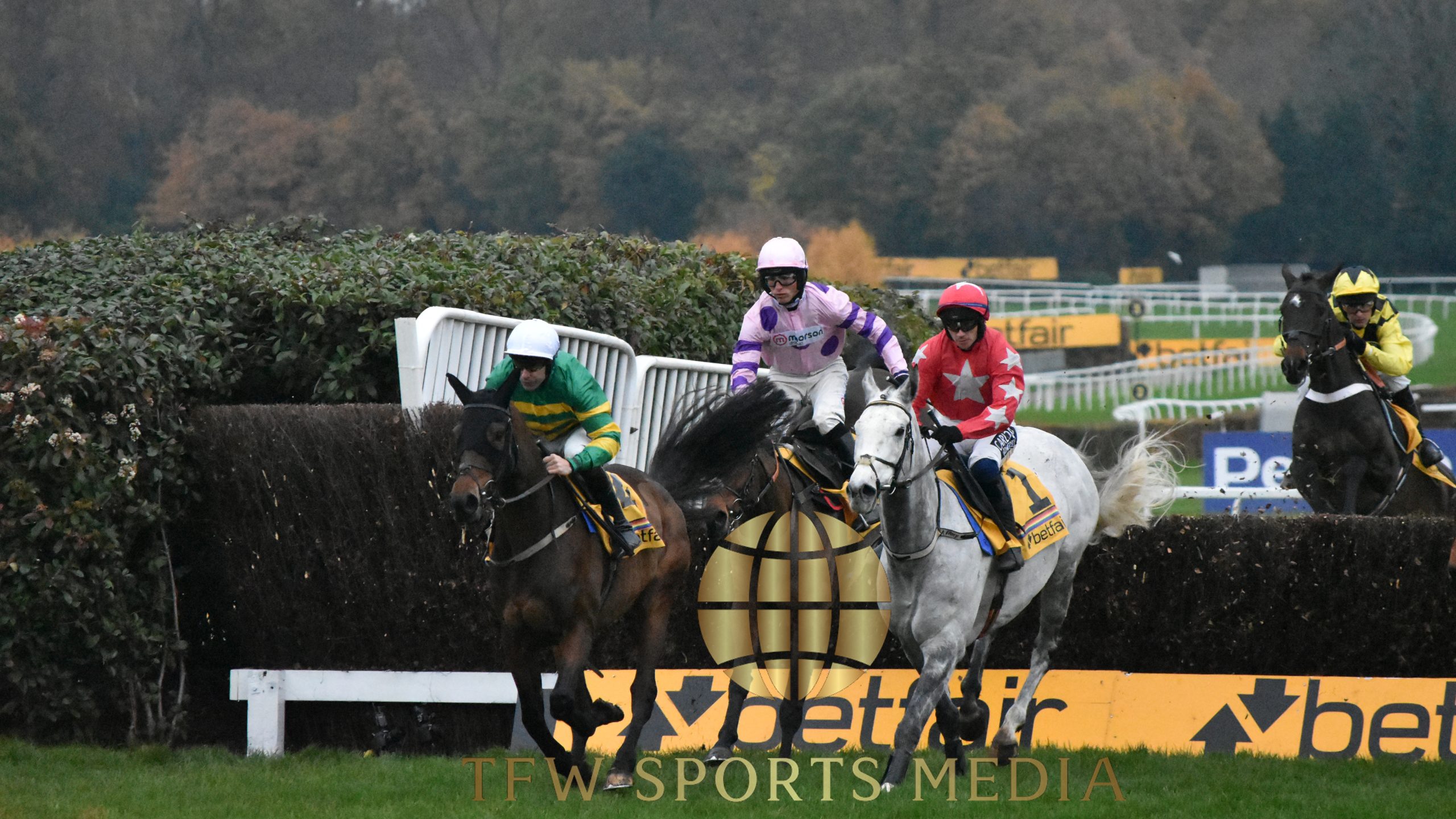 Tingle Creek 2022 Fence Two
