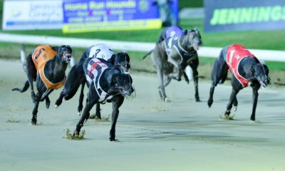 Irish Grand National 2024 March On Freddie