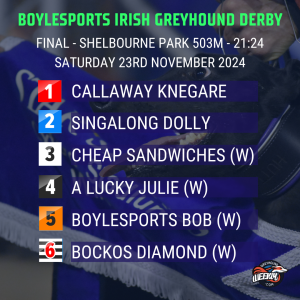 Irish Greyhound Derby Trap Draw 2024