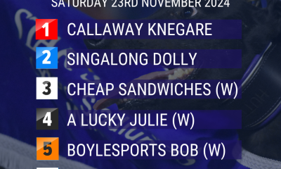 Irish Greyhound Derby Trap Draw 2024