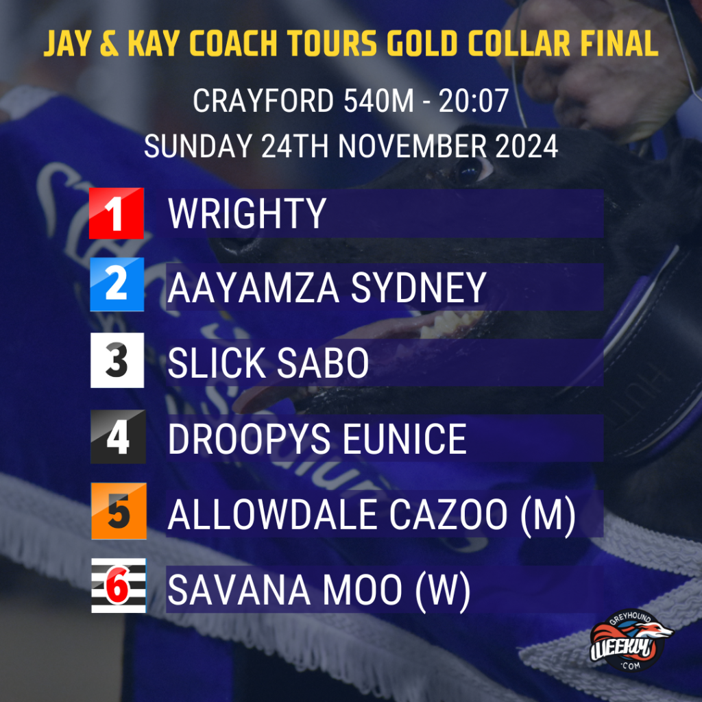 Trap draw for 2024 Gold Collar Final at Crayford