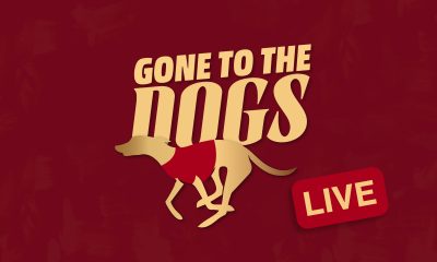 Gone to the dogs live logo
