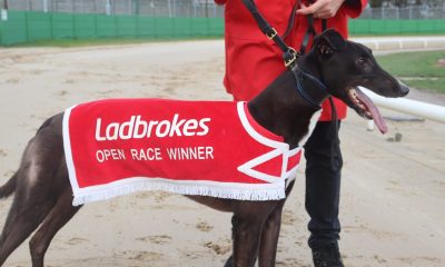 Links Maverick at Monmore