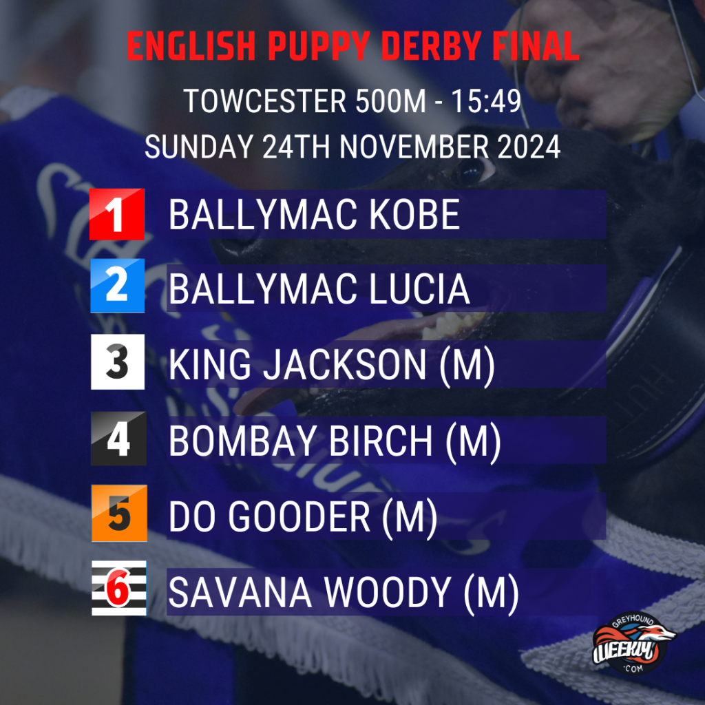 Trap Draw for Puppy Derby Final 2024