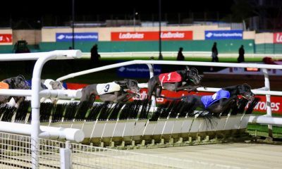 Weekly Review publishes a photo of greyhounds at Crayford during the Grand National.