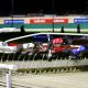 Weekly Review publishes a photo of greyhounds at Crayford during the Grand National.
