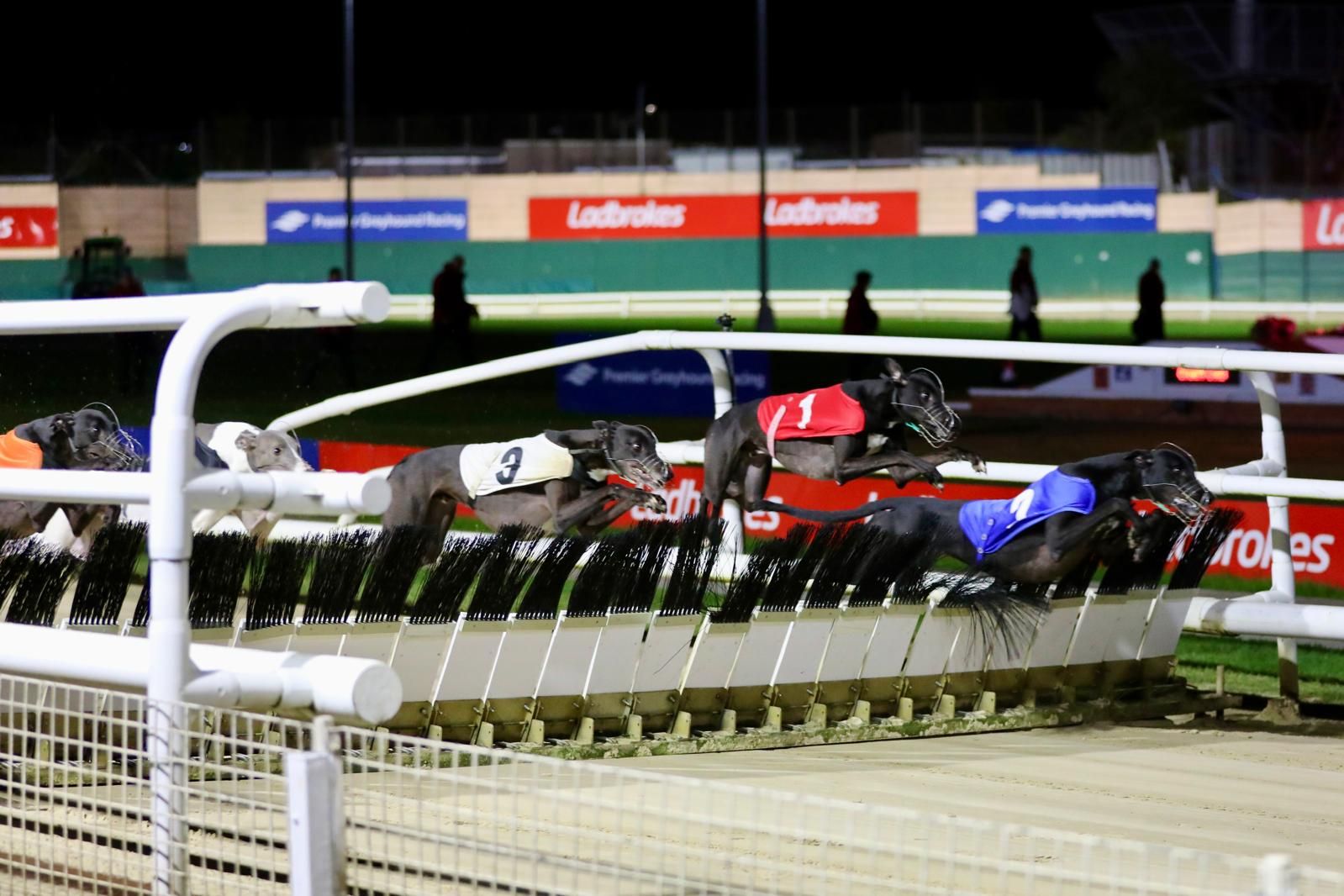 Weekly Review publishes a photo of greyhounds at Crayford during the Grand National.