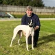Tony Collett, greyhound trainer, sends out his final runners at Central Park Stadium on Saturday.