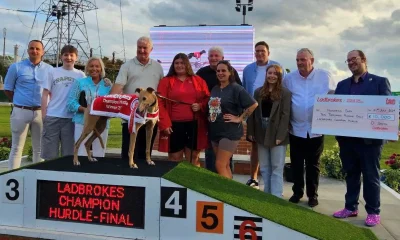 Barry O’Sullivan poses for a photo with connections