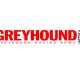Greyhound-Weekly-Logo