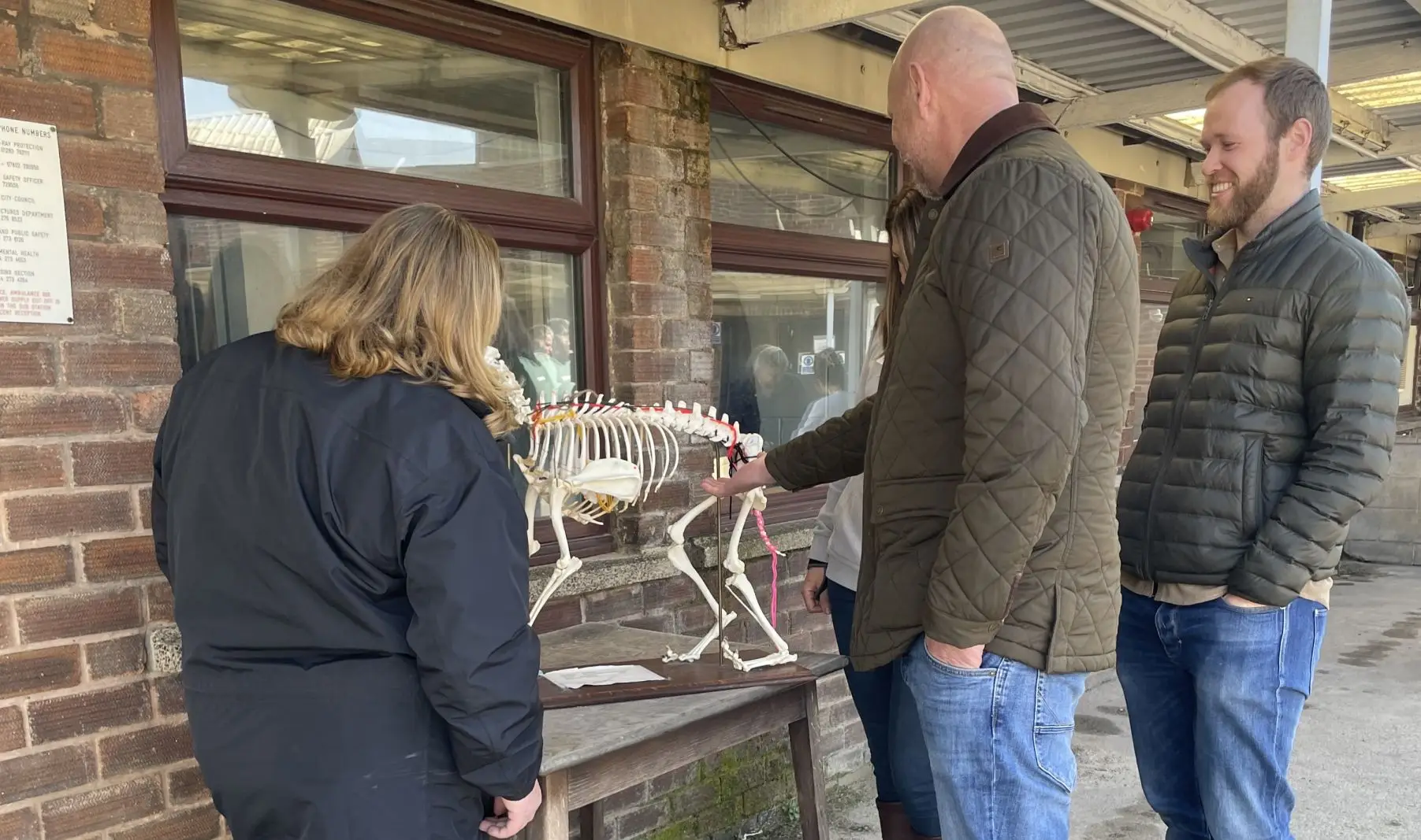 Maintaining.the_.Canine.Athlete (1)