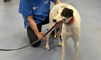 MSK-exam-demonstration-CPD-day-may-2025-930x620