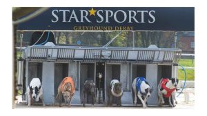 025-Star-Sports-TRC-Greyhound-Derby2-1