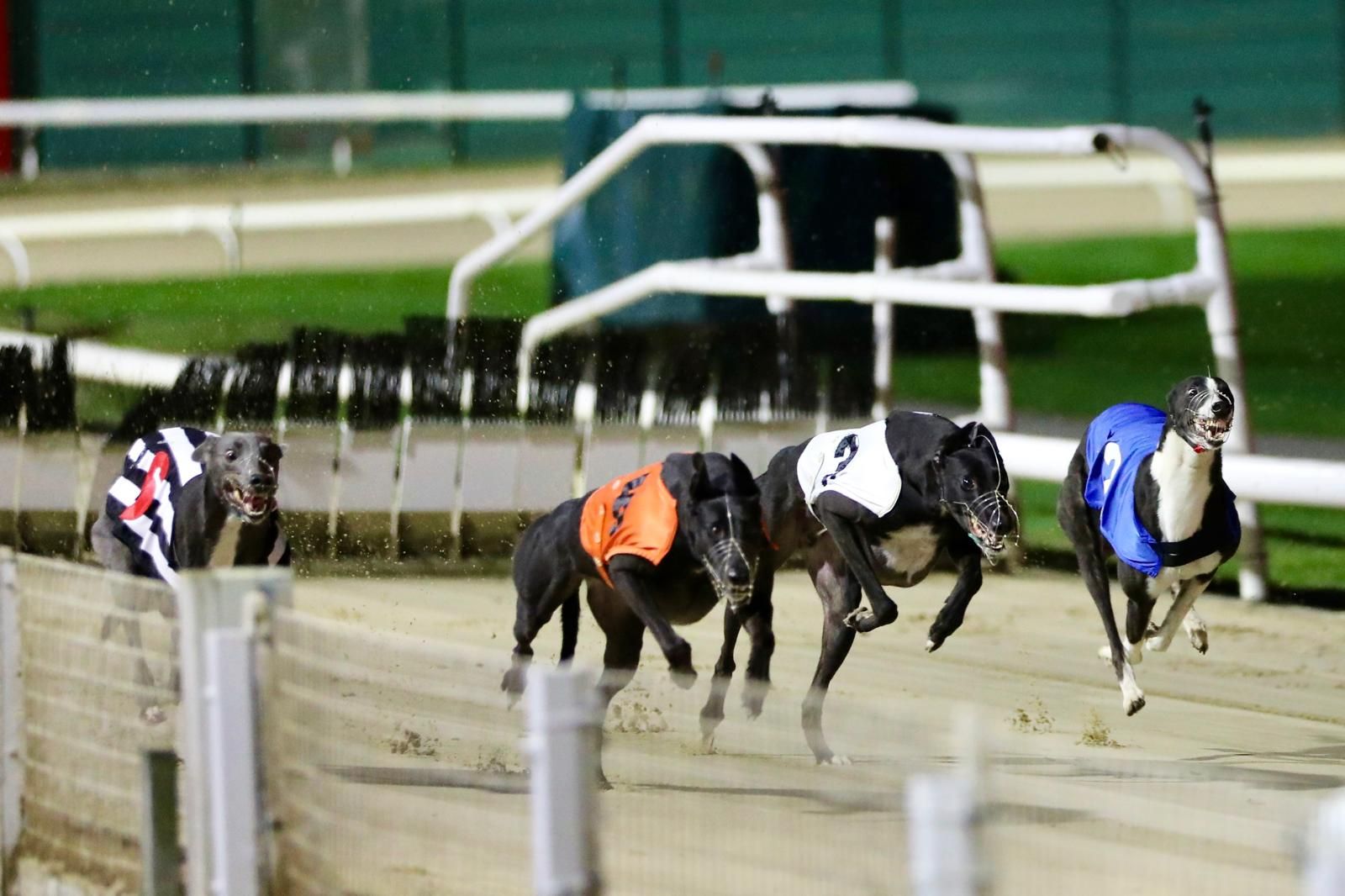 img-20241112-wa00146334489143862725523